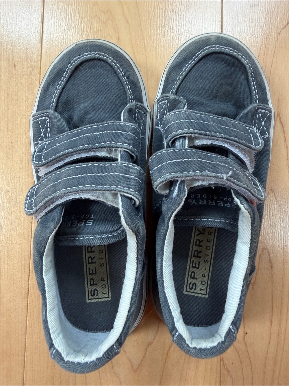 Sperry Kids Gray Canvas Velcro Sneakers toddler 10.5